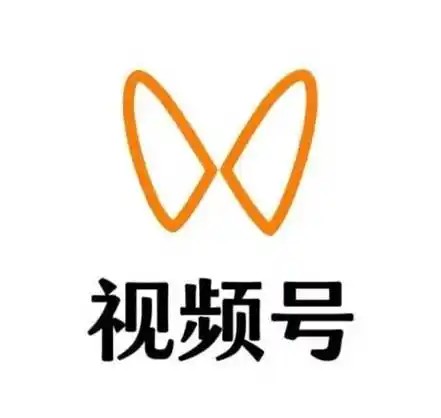 微信视频号 - 百望乐企